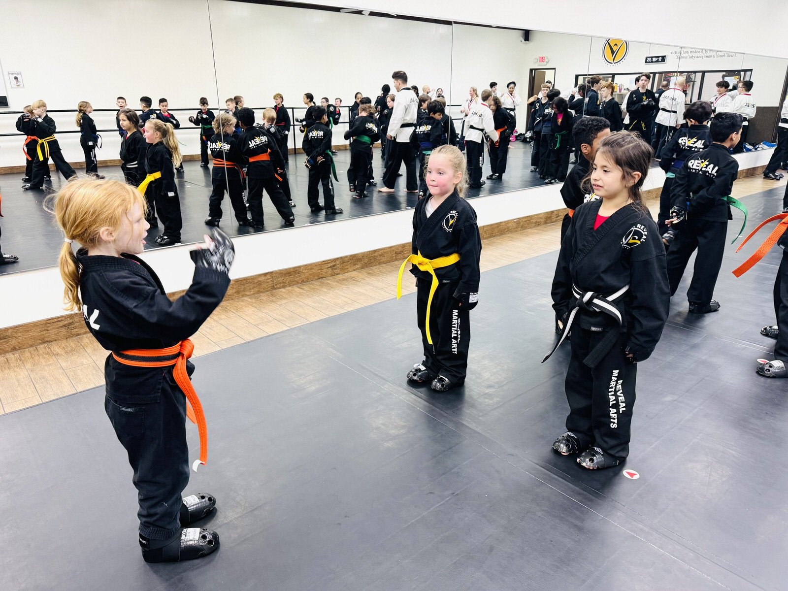 reveal-martial-arts-supersession-black-belt-training-16.jpeg