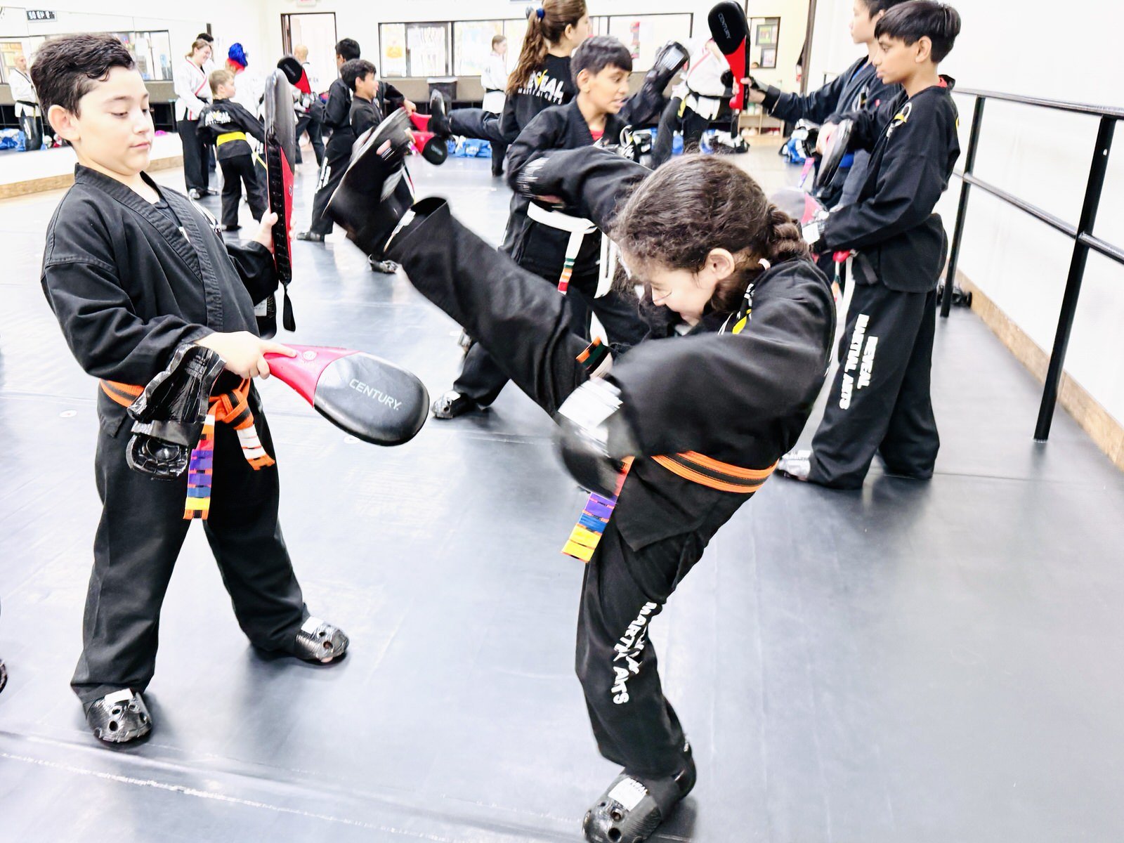 reveal-martial-arts-supersession-black-belt-training-17.JPG