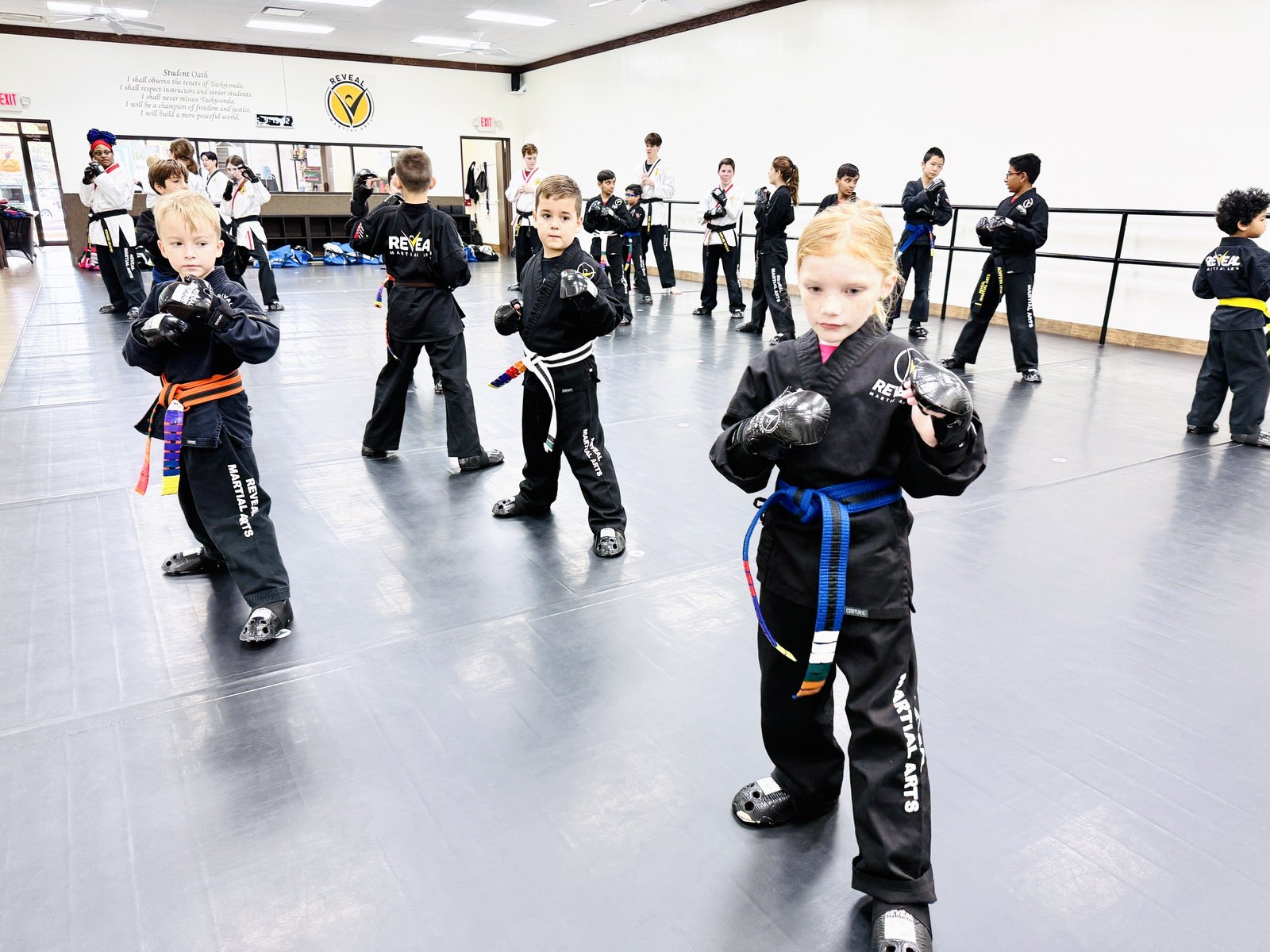 reveal-martial-arts-supersession-black-belt-training-8.JPG