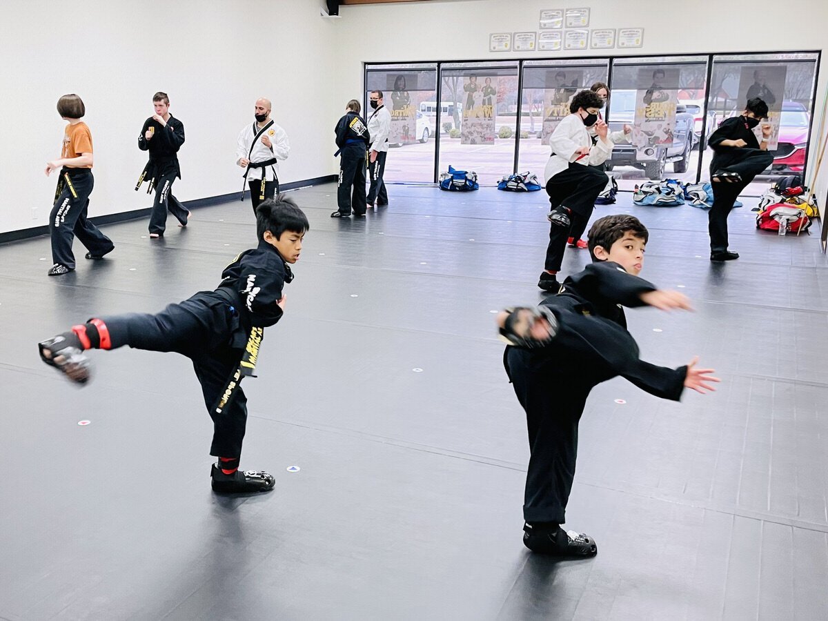 reveal-martial-arts-taekwondo-karate-southlake-keller-grapevine-alliance-texas-1.jpeg