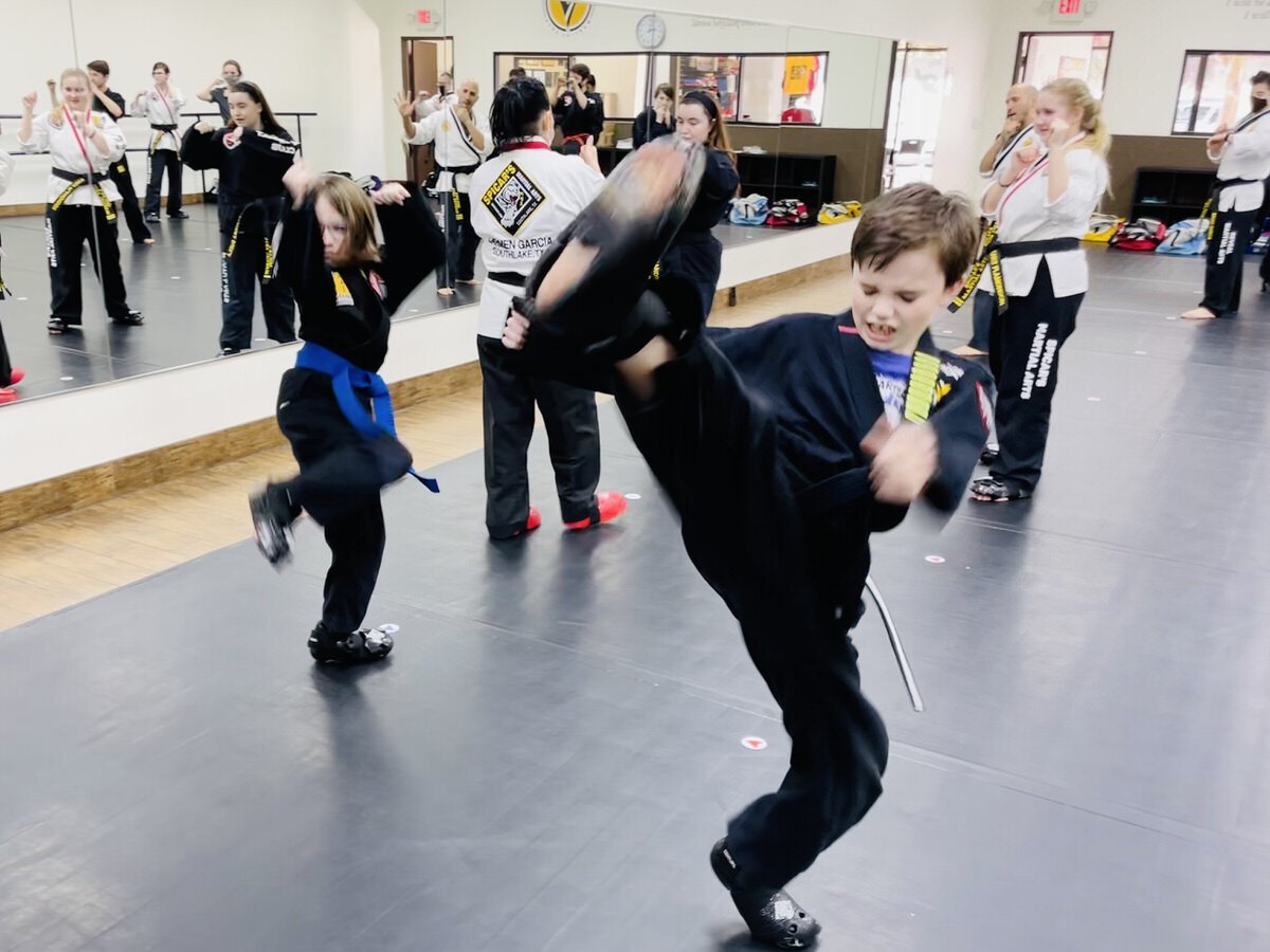 reveal-martial-arts-taekwondo-karate-southlake-keller-grapevine-alliance-texas-14-1.jpeg
